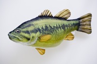Рыба ротан: происхождение, чем опасен, как приготовить рецепты