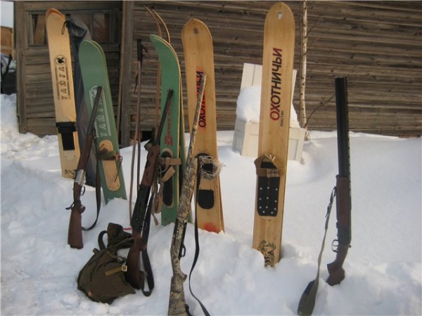 какие брать лыжи для охоты