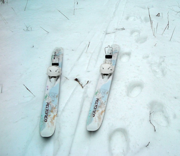 пластиковые лыжи для охоты