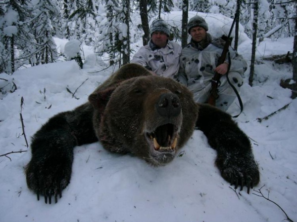 охота на медведей весной
