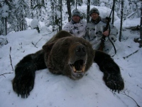 Охота на медведя: с лайками, зимой в берлоге, весной, с ножом, с рогатиной