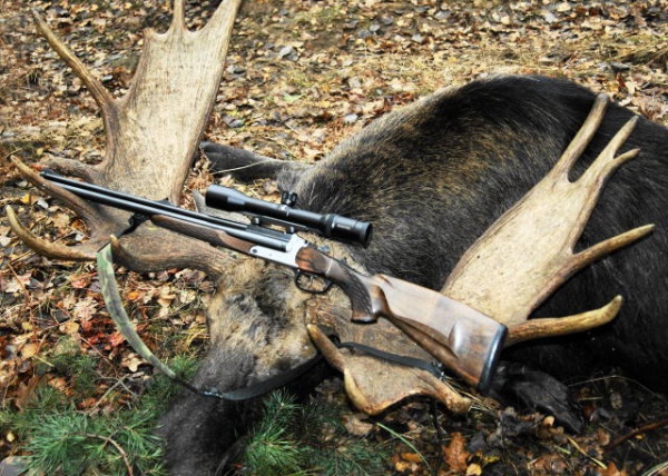 санкции за нарушения правил охоты
